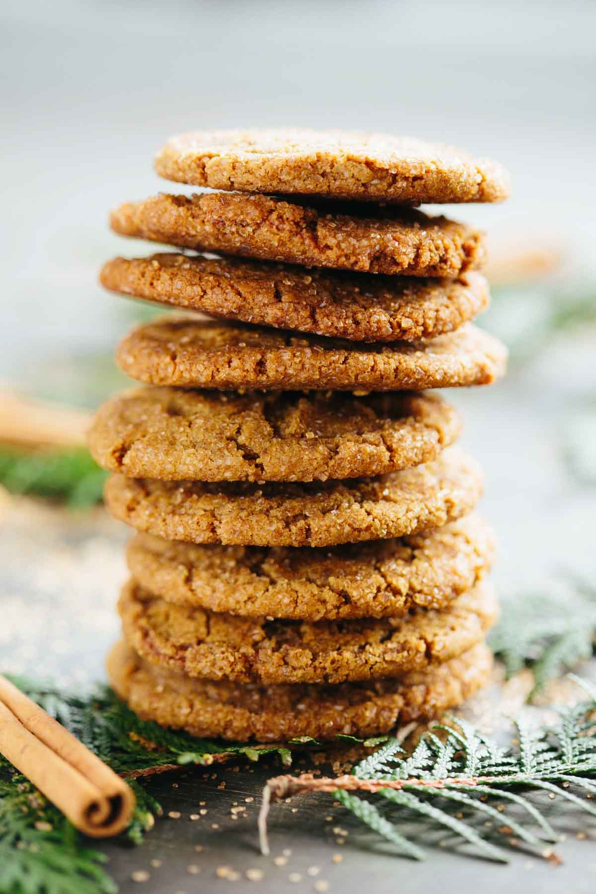 Tall stack of golden brown ginger molasses cookies with a crisp sugar coating, shot with greenery in the background.