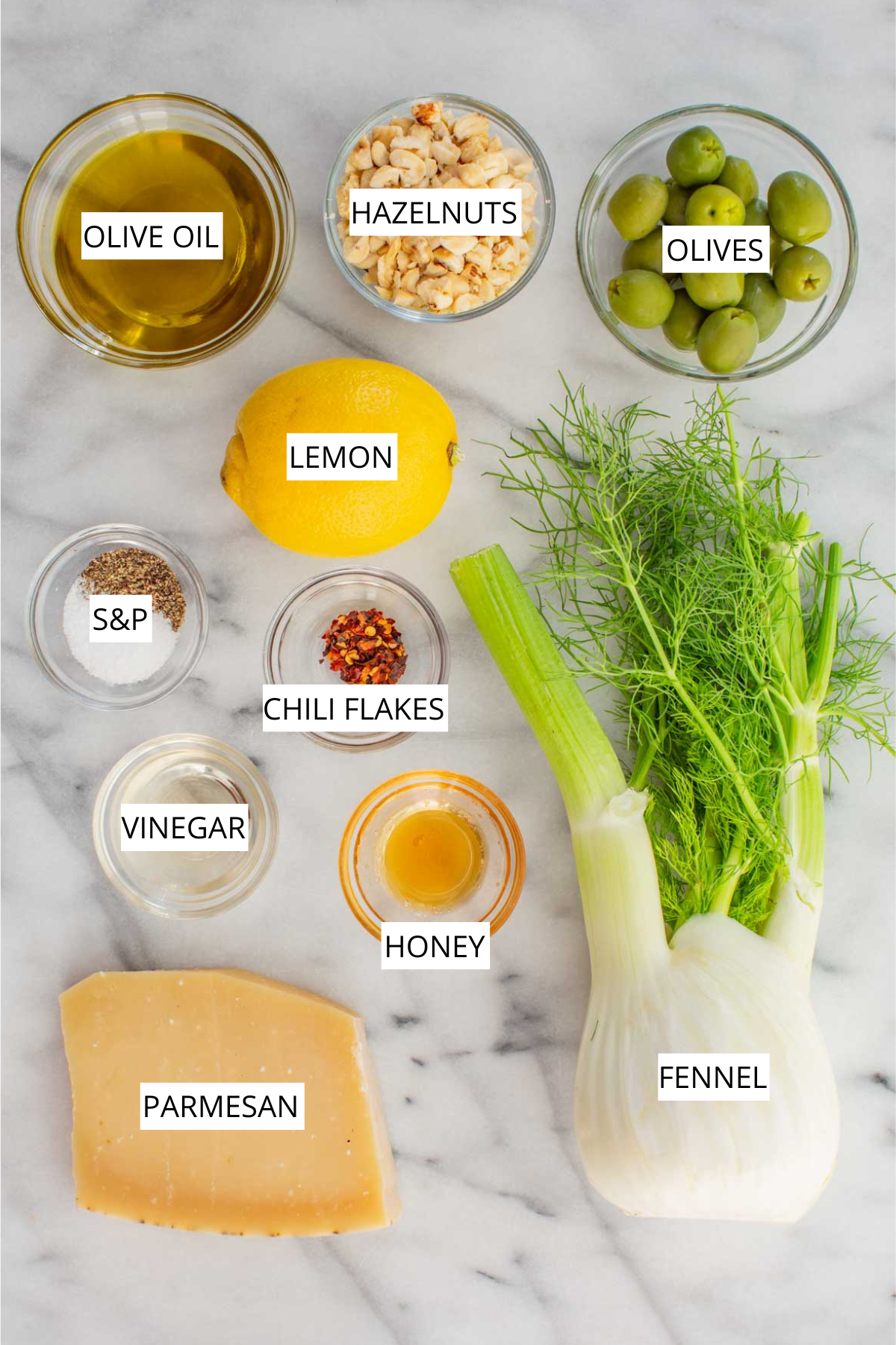 Top shot of labeled ingredients of fennel salad including fennel, parmesan, honey, vinegar, chili flakes, olives, hazelnuts and olive oil.