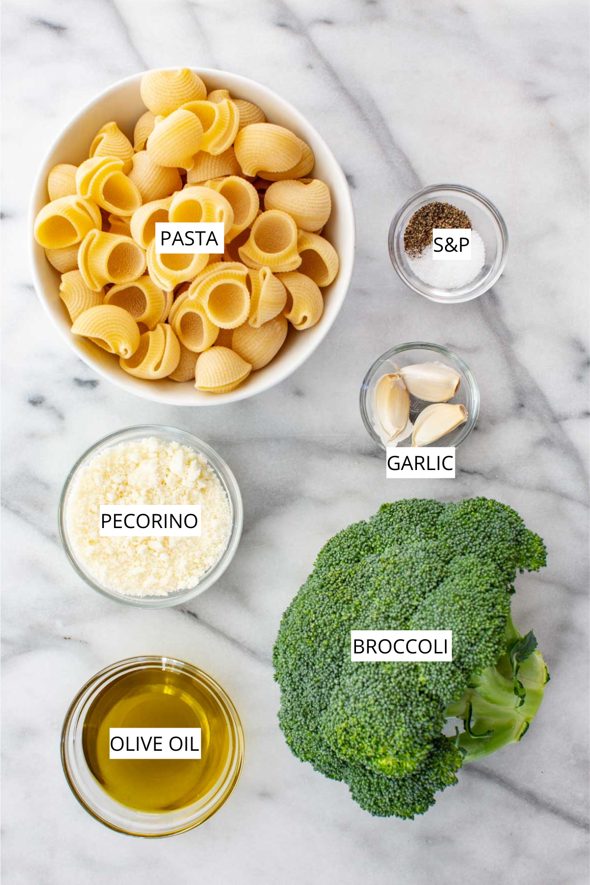 Top shot of pasta con broccoli ingredients.