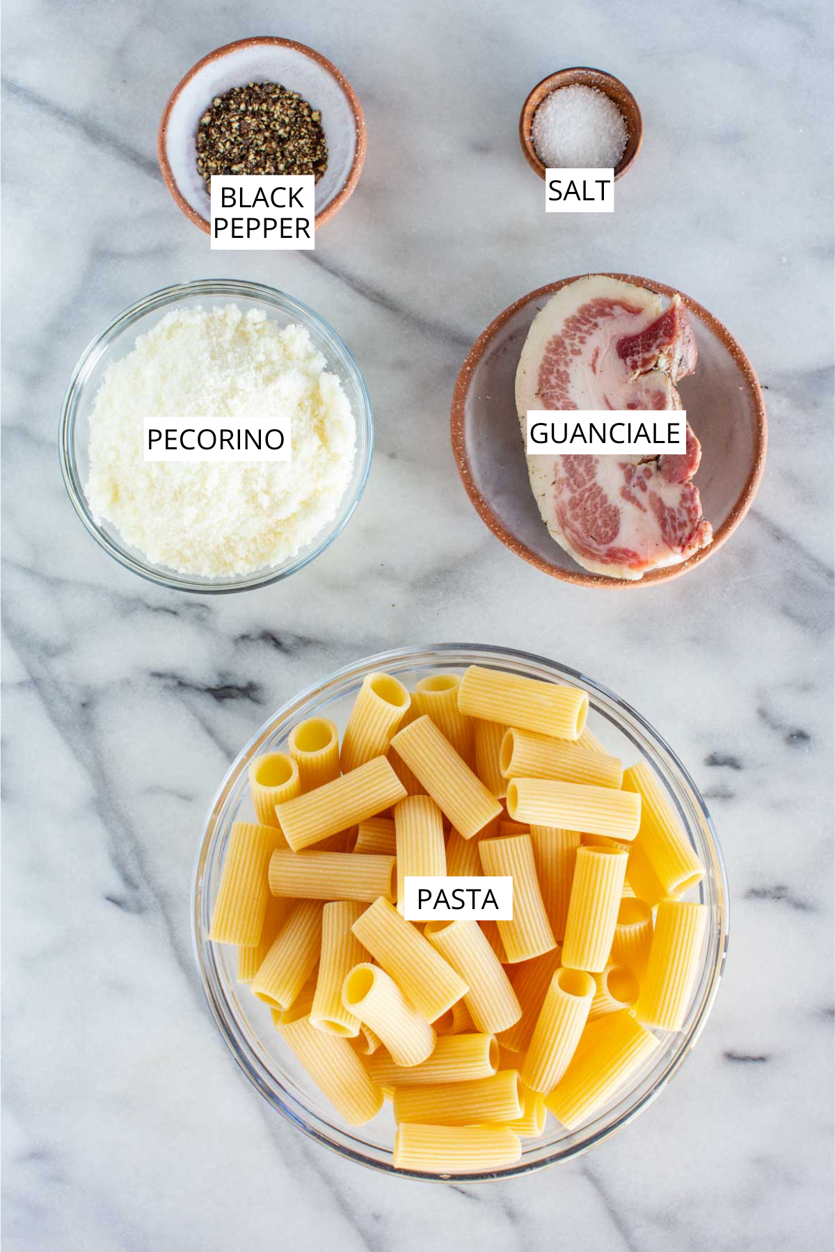 Overhead shot of pasta alla gricia ingredients including pasta, guanciale, grated pecorino, black pepper and salt.