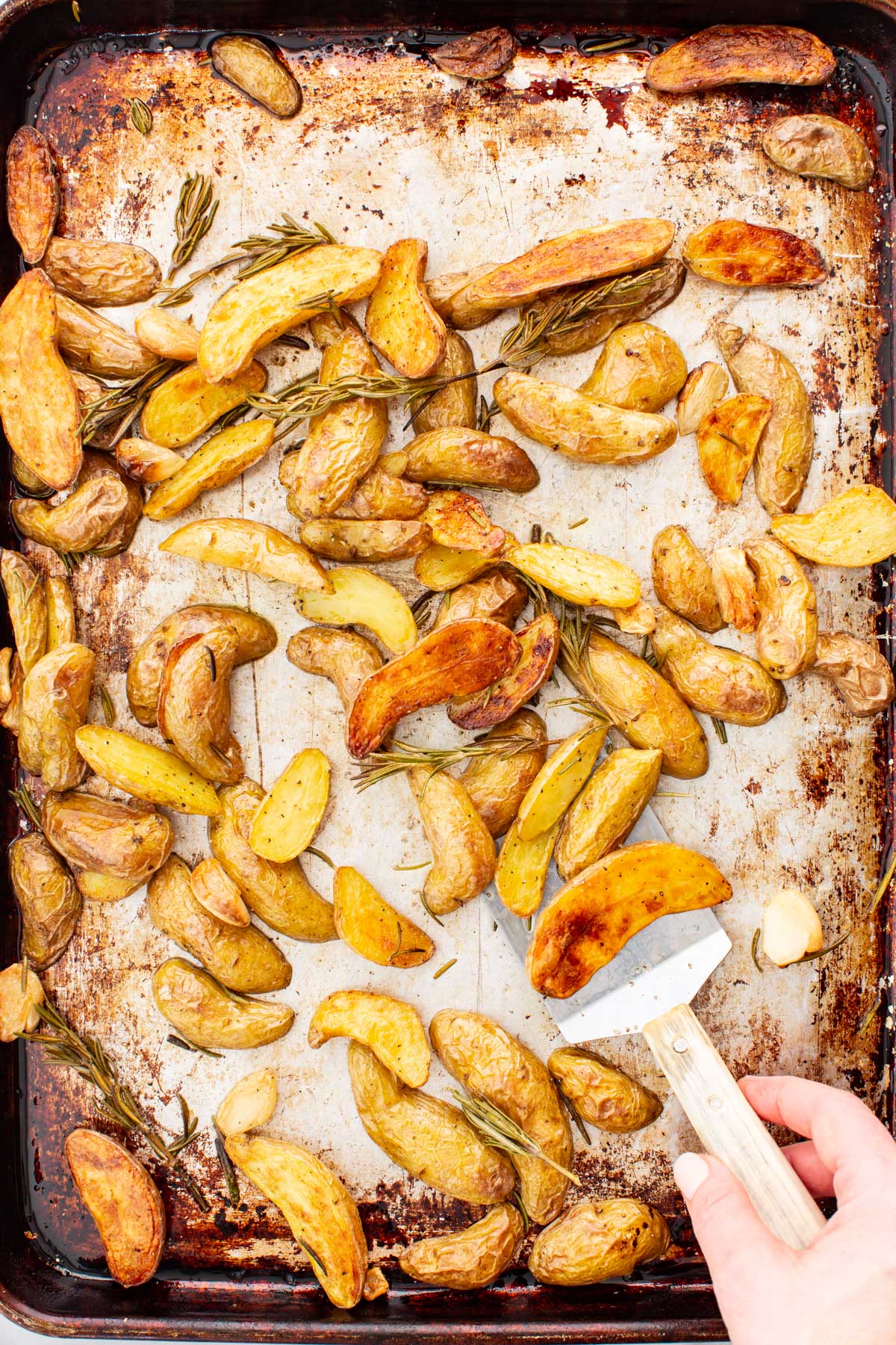 Fingerling potatoes being tossed and turned in a sheet pan with a metal spatula.