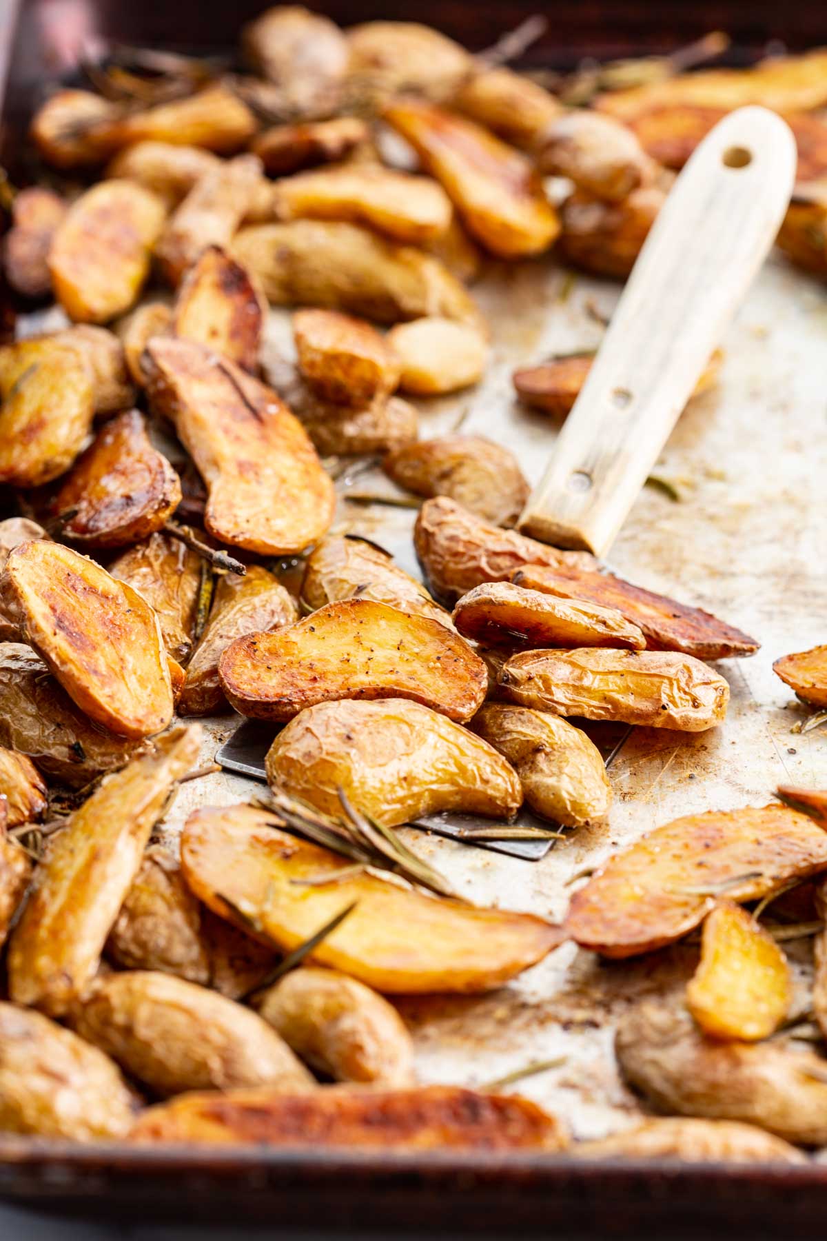 Golden roasted fingerling potatoes on a sheet pan with rosemary and garlic, crispy on the edges with a metal spatula nearby.