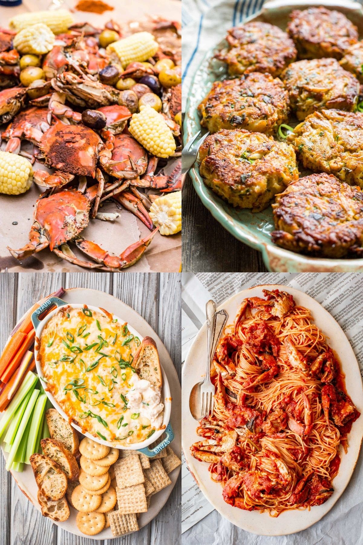 Four photos of crab recipes, including steamed blue crabs, Maryland crab cakes, crab dip, and crabs in red sauce.
