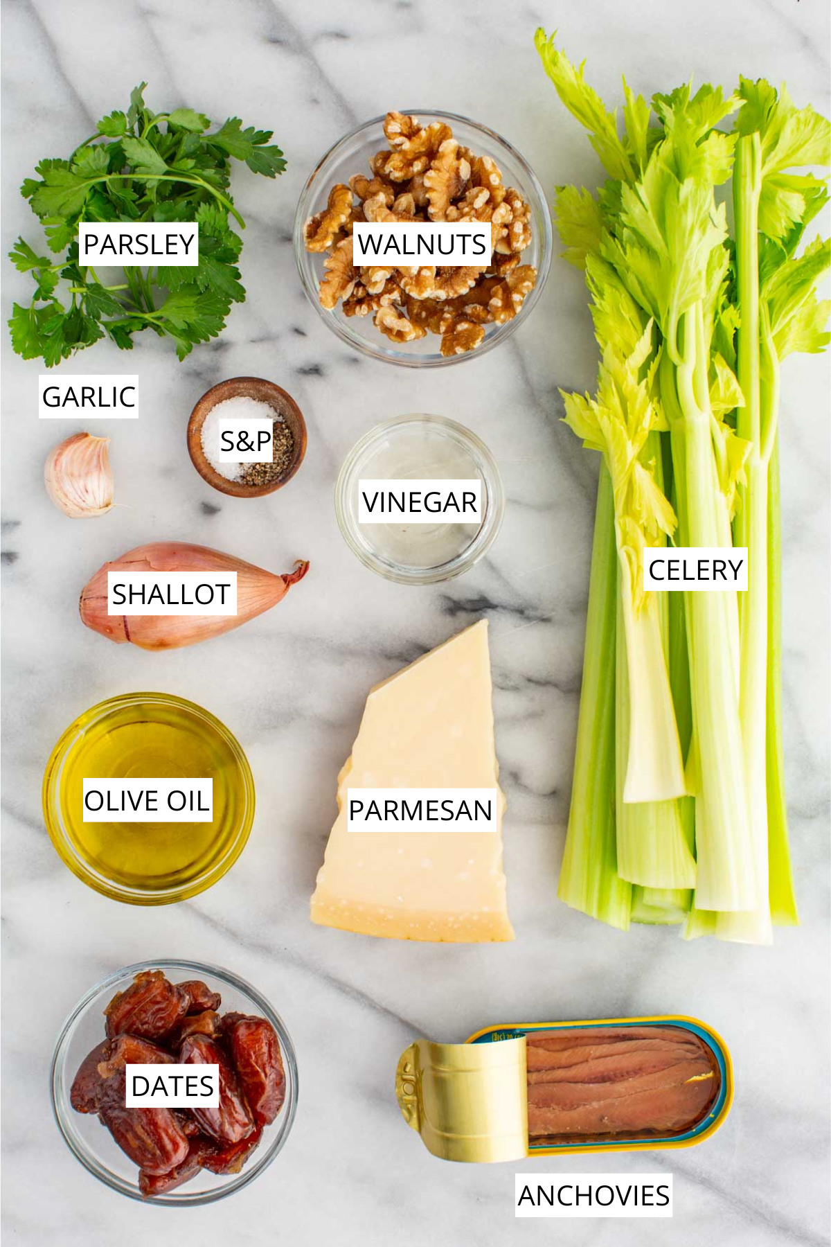 Overhead flat lay of celery salad ingredients on a white marble surface, labeled: a bunch of fresh celery, a bowl of walnuts, fresh parsley, a garlic clove, a small bowl of salt and pepper, a glass of vinegar, a shallot, a bowl of olive oil, a wedge of Parmesan, a bowl of dates, and an open tin of anchovies.