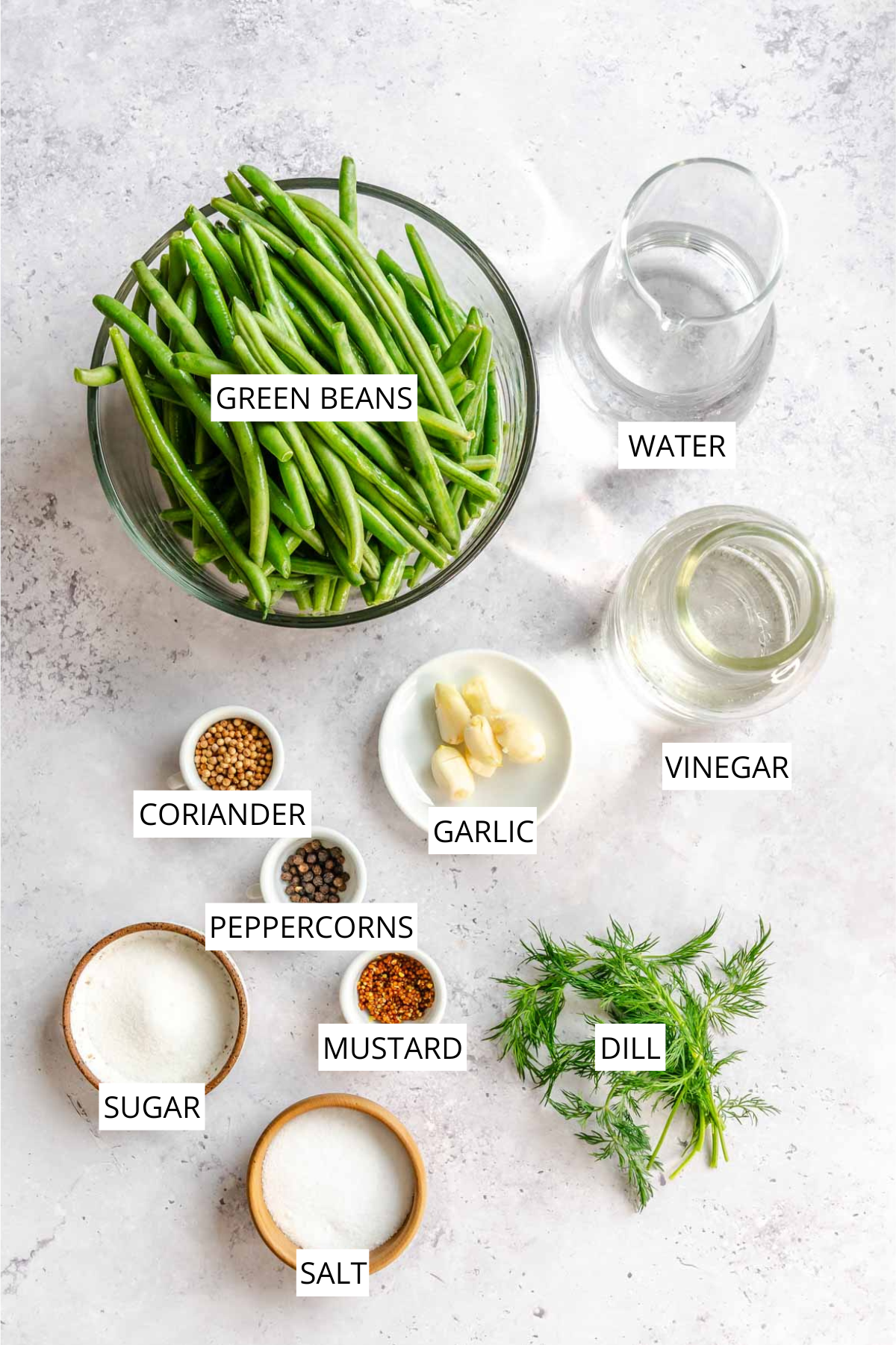 A flat lay of all the ingredients for pickled green beans, arranged on a light speckled stone surface and labeled with white text. A large glass bowl of fresh whole green beans dominates the upper left. To the upper right, two glass cups hold water and vinegar respectively. In the center, a small white dish holds peeled garlic cloves, flanked by small bowls of coriander seeds and black peppercorns. Along the bottom, larger bowls hold sugar and salt, with a small bowl of red mustard seeds between them. A bunch of fresh dill sits to the right.