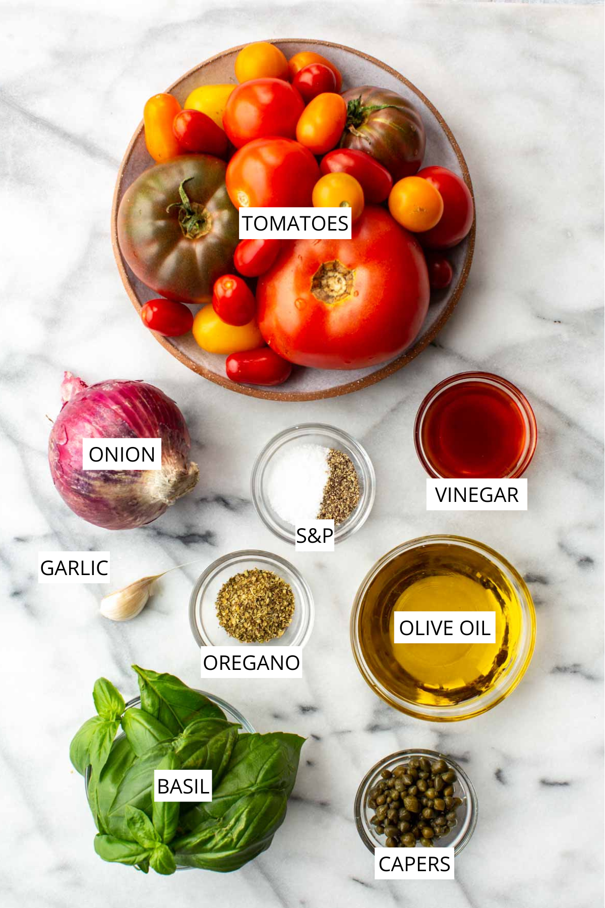 Labeled ingredients for Italian tomato salad including tomatoes, onion, s&p, vinegar, garlic, oregano, olive oil and basil.