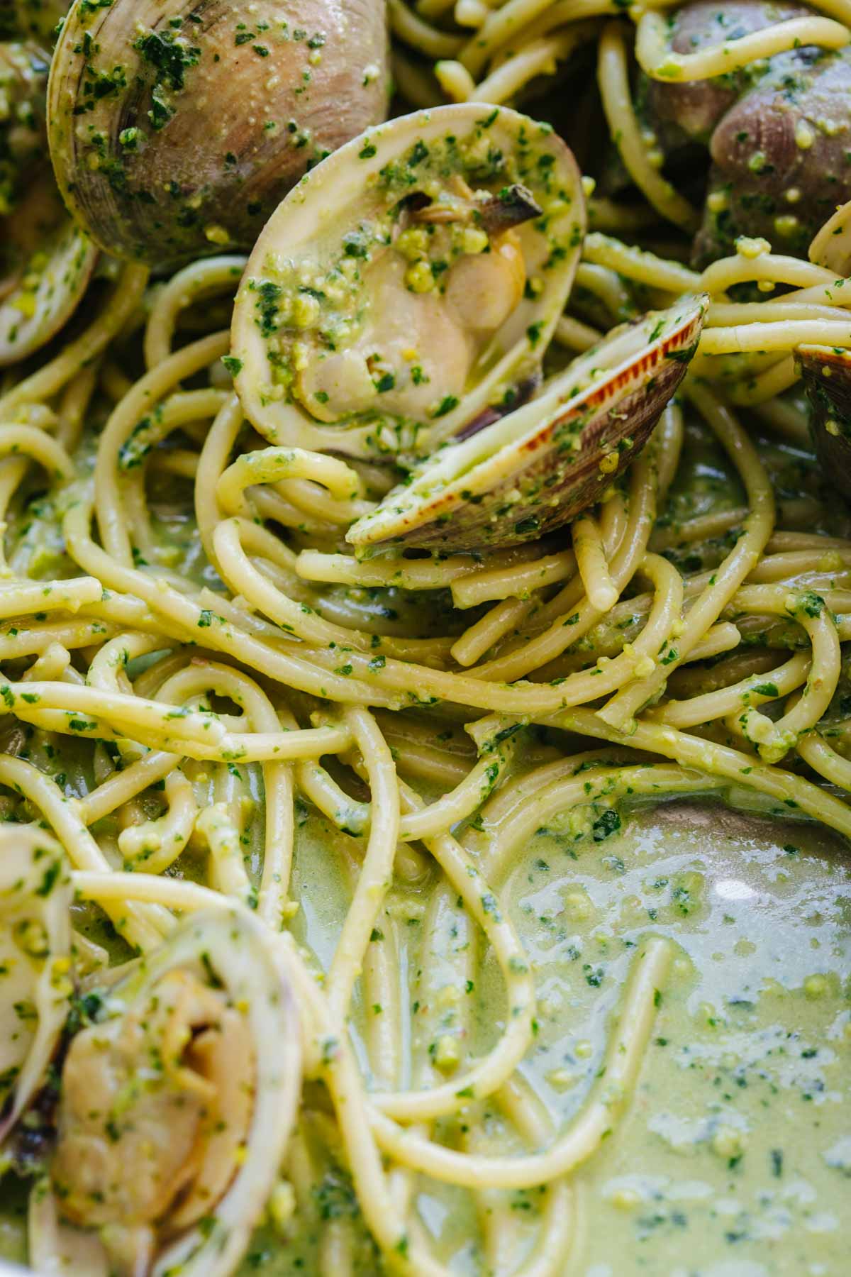Extreme close-up of spaghetti strands coated in green pistachio pesto with open clams nestled among the noodles.