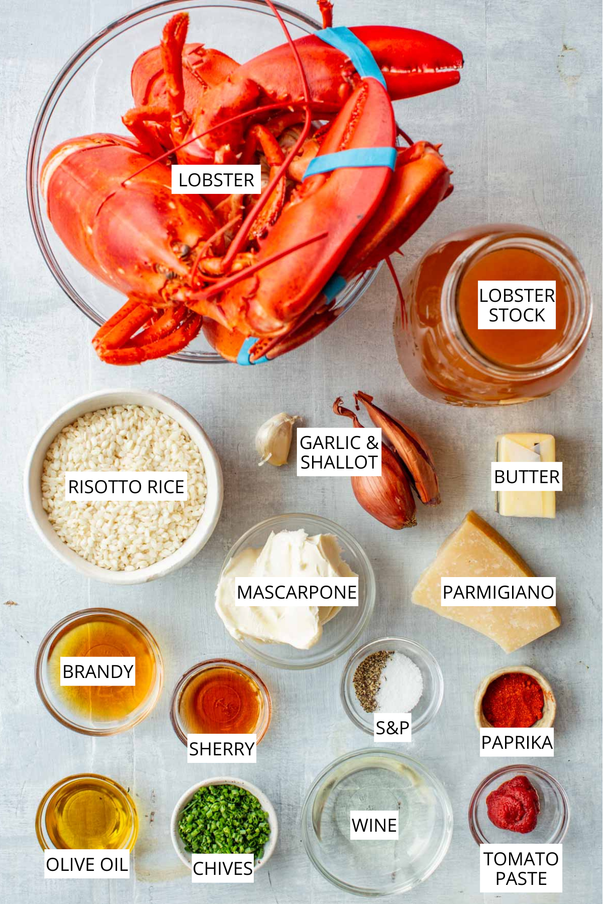 Overhead shot of labeled ingredients for lobster risotto, including a whole cooked lobster, lobster stock, risotto rice, garlic and shallot, butter, mascarpone, parmigiano, brandy, sherry, salt and pepper, paprika, olive oil, chives, wine, and tomato paste.