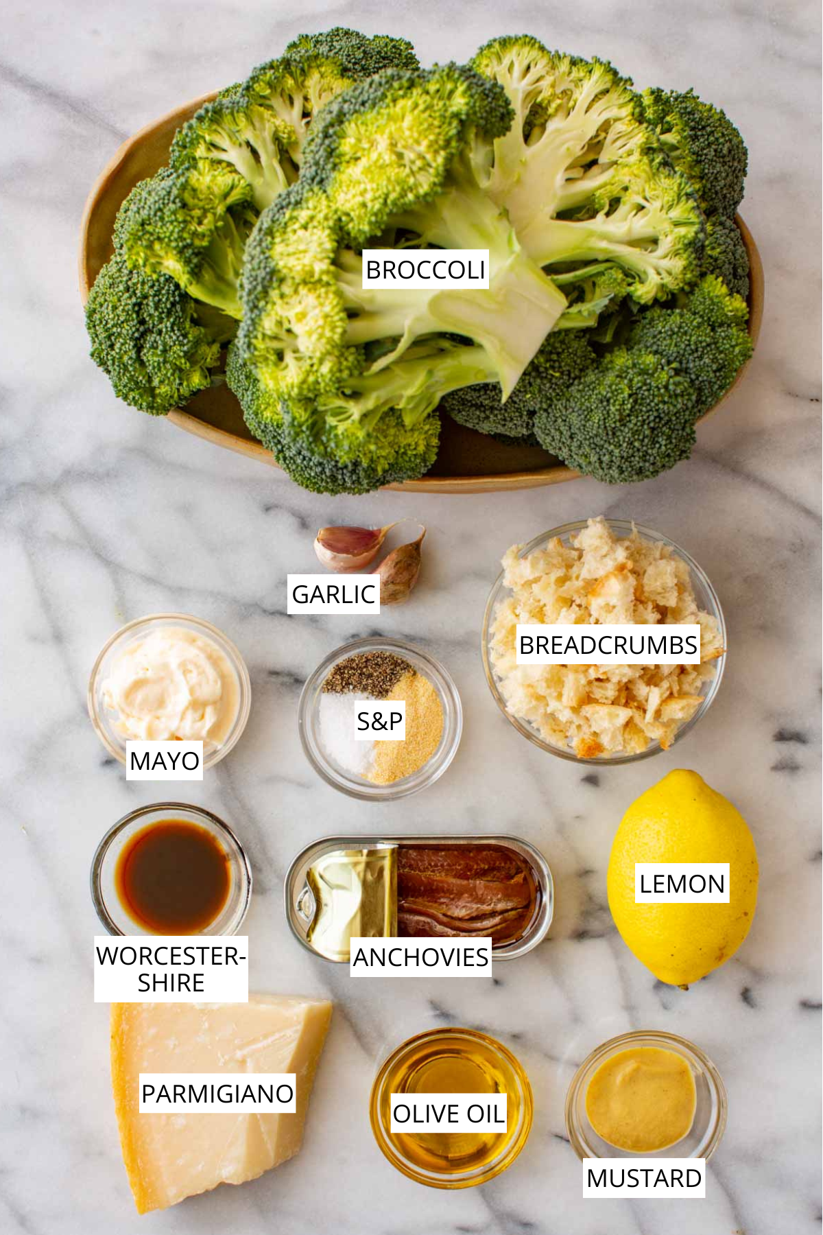 Overhead flat lay of labeled ingredients for grilled broccoli Caesar salad, including broccoli, garlic, breadcrumbs, mayo, salt and pepper, Worcestershire, anchovies, lemon, Parmigiano, olive oil, and mustard.