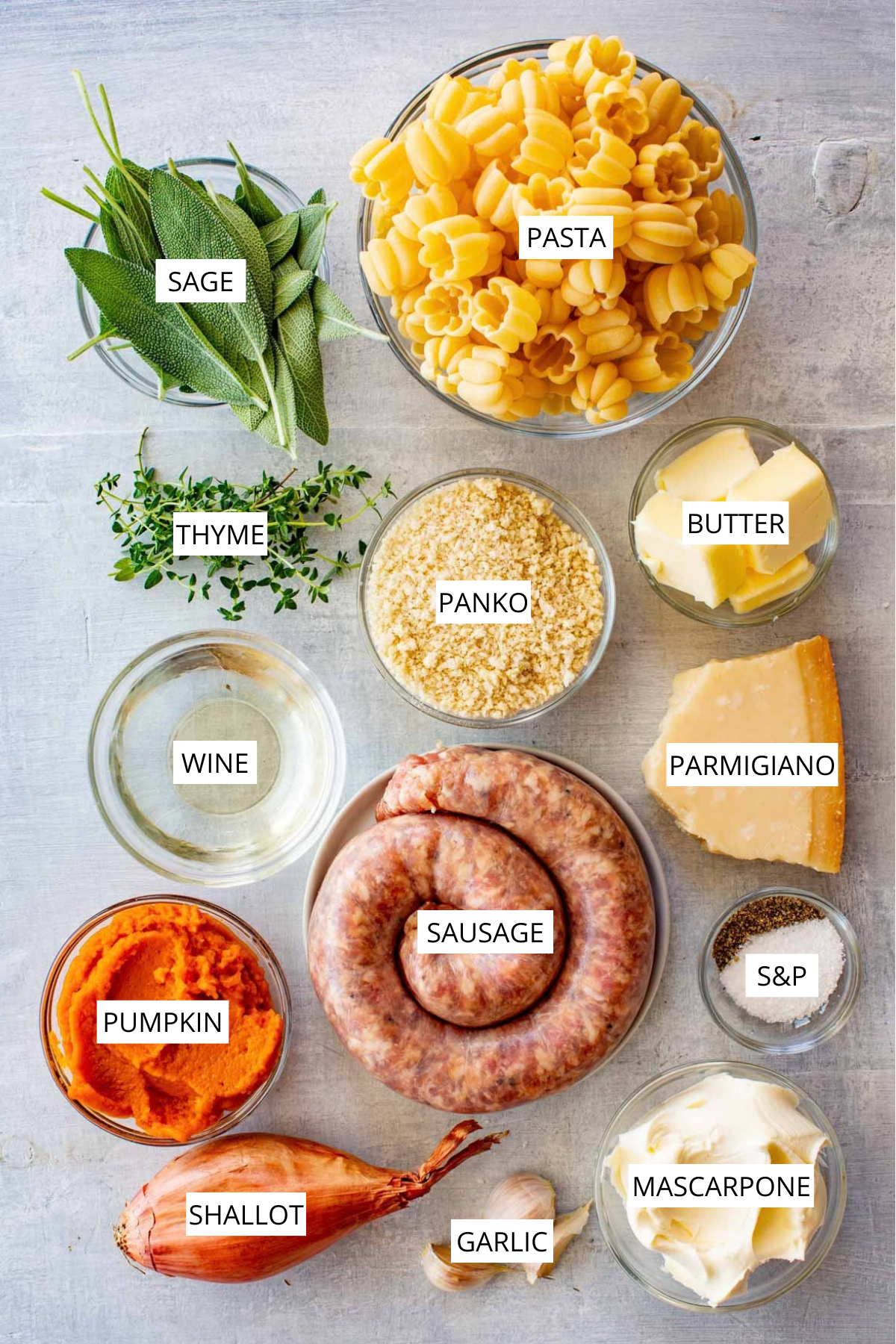 Overhead shot of labeled pumpkin sausage pasta ingredients including sage, thyme, pasta, panko, butter, wine, parmigiano, pumpkin puree, sausage, shallot, garlic, mascarpone, salt, and pepper arranged in bowls on a light surface.