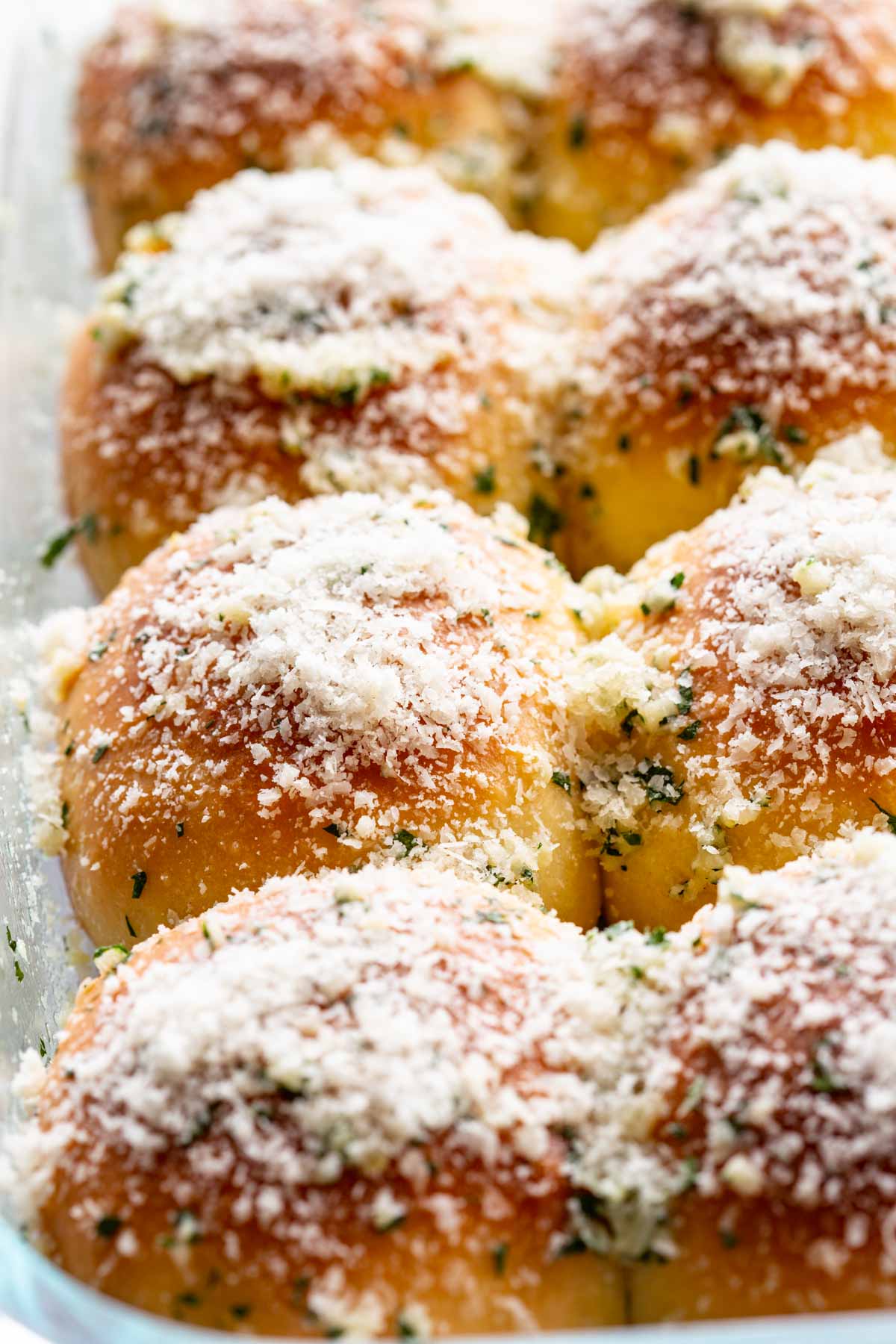Close-up of golden dinner rolls in a baking dish, dusted with a thick layer of parmesan, garlic, and fresh parsley.